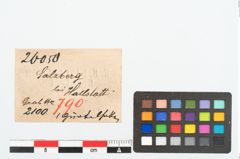 Etikett zu Bronzegürtelhaken (NHMW-PRAE-026050)
